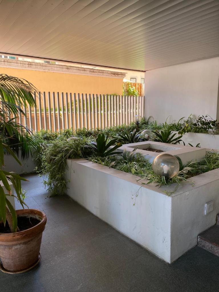 Giulio Cesare Holiday House Roma Dış mekan fotoğraf